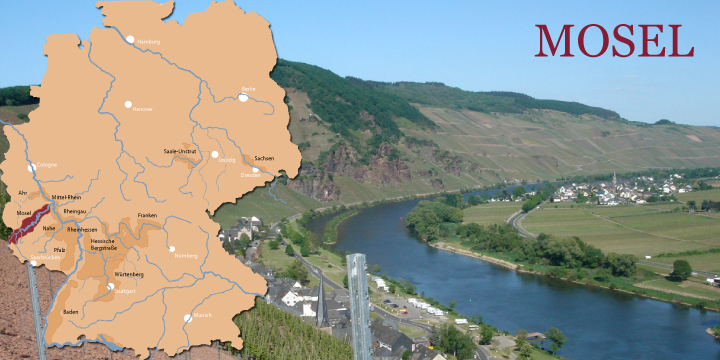 MOSEL